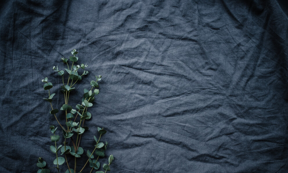 lino: dalla pianta al tessuto